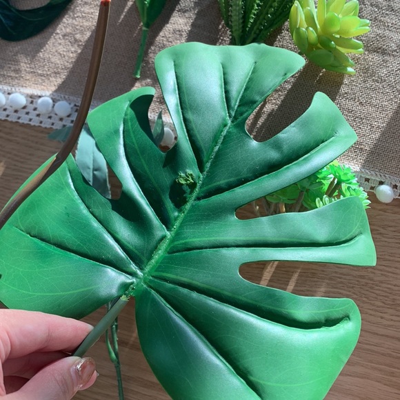 ☀️Hump Day Happiness SALE☀️ Styling fun ✨7 Pieces Plant Styling props - Picture 2 of 12